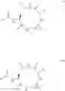 Fig. 13 - PEPTIDE-BASED QUORUM SENSING INHIBITORS FOR THE ATTENUATION OF VIRULENCE IN STAPHYLOCOCCUS AUREUS
