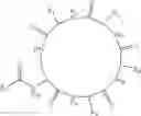 Fig. 25 - PEPTIDE-BASED QUORUM SENSING INHIBITORS FOR THE ATTENUATION OF VIRULENCE IN STAPHYLOCOCCUS AUREUS