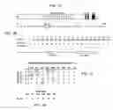 Fig. 02 - Modular DNA-binding domains and methods of use