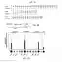 Fig. 03 - Modular DNA-binding domains and methods of use