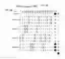Fig. 04 - Modular DNA-binding domains and methods of use