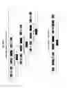 Fig. 32 - Modular DNA-binding domains and methods of use