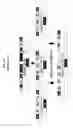 Fig. 33 - Modular DNA-binding domains and methods of use