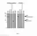 Fig. 06 - Compositions and Methods Related to Protein A (SpA) Variants