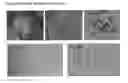 Fig. 18 - APPLICATIONS OF AN IMMUNE SYSTEM-RELEASED ACTIVATING AGENT (ISRAA)