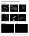 Fig. 22 - APPLICATIONS OF AN IMMUNE SYSTEM-RELEASED ACTIVATING AGENT (ISRAA)