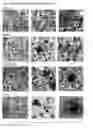 Fig. 24 - APPLICATIONS OF AN IMMUNE SYSTEM-RELEASED ACTIVATING AGENT (ISRAA)