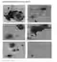Fig. 26 - APPLICATIONS OF AN IMMUNE SYSTEM-RELEASED ACTIVATING AGENT (ISRAA)