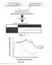Fig. 08 - Immunogenic peptides and their use in immune disorders