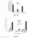 Fig. 09 - Immunogenic peptides and their use in immune disorders