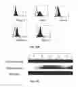 Fig. 11 - Immunogenic peptides and their use in immune disorders