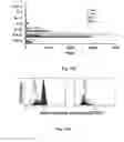 Fig. 12 - Immunogenic peptides and their use in immune disorders