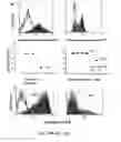 Fig. 13 - Immunogenic peptides and their use in immune disorders