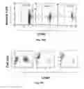 Fig. 15 - Immunogenic peptides and their use in immune disorders