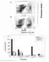 Fig. 22 - Immunogenic peptides and their use in immune disorders