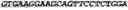 Fig. 04 - CIRCULAR POLYNUCLEOTIDES