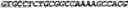 Fig. 08 - CIRCULAR POLYNUCLEOTIDES
