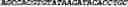 Fig. 104 - CIRCULAR POLYNUCLEOTIDES