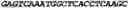 Fig. 12 - CIRCULAR POLYNUCLEOTIDES
