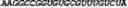 Fig. 121 - CIRCULAR POLYNUCLEOTIDES