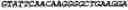 Fig. 13 - CIRCULAR POLYNUCLEOTIDES