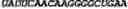 Fig. 137 - CIRCULAR POLYNUCLEOTIDES
