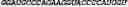 Fig. 138 - CIRCULAR POLYNUCLEOTIDES