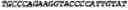 Fig. 14 - CIRCULAR POLYNUCLEOTIDES