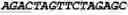 Fig. 146 - CIRCULAR POLYNUCLEOTIDES