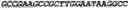 Fig. 149 - CIRCULAR POLYNUCLEOTIDES