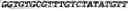 Fig. 150 - CIRCULAR POLYNUCLEOTIDES