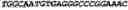 Fig. 152 - CIRCULAR POLYNUCLEOTIDES