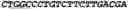 Fig. 153 - CIRCULAR POLYNUCLEOTIDES