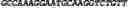 Fig. 155 - CIRCULAR POLYNUCLEOTIDES