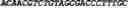 Fig. 158 - CIRCULAR POLYNUCLEOTIDES