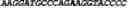 Fig. 166 - CIRCULAR POLYNUCLEOTIDES