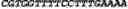 Fig. 171 - CIRCULAR POLYNUCLEOTIDES