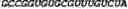 Fig. 178 - CIRCULAR POLYNUCLEOTIDES