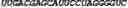 Fig. 182 - CIRCULAR POLYNUCLEOTIDES