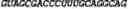 Fig. 187 - CIRCULAR POLYNUCLEOTIDES