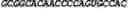 Fig. 191 - CIRCULAR POLYNUCLEOTIDES
