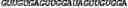Fig. 192 - CIRCULAR POLYNUCLEOTIDES
