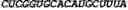 Fig. 197 - CIRCULAR POLYNUCLEOTIDES