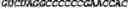 Fig. 199 - CIRCULAR POLYNUCLEOTIDES