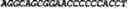 Fig. 216 - CIRCULAR POLYNUCLEOTIDES