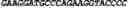 Fig. 223 - CIRCULAR POLYNUCLEOTIDES