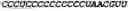 Fig. 233 - CIRCULAR POLYNUCLEOTIDES
