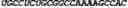 Fig. 246 - CIRCULAR POLYNUCLEOTIDES