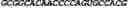 Fig. 248 - CIRCULAR POLYNUCLEOTIDES