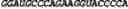 Fig. 252 - CIRCULAR POLYNUCLEOTIDES
